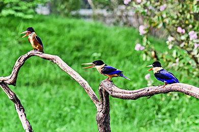 《杀死公主：原始剪辑版》全平台正式发售 添加中文支持