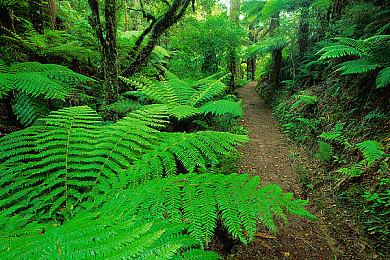 《最后生还者2》《地平线：西之绝境》制作成本均超2亿美元